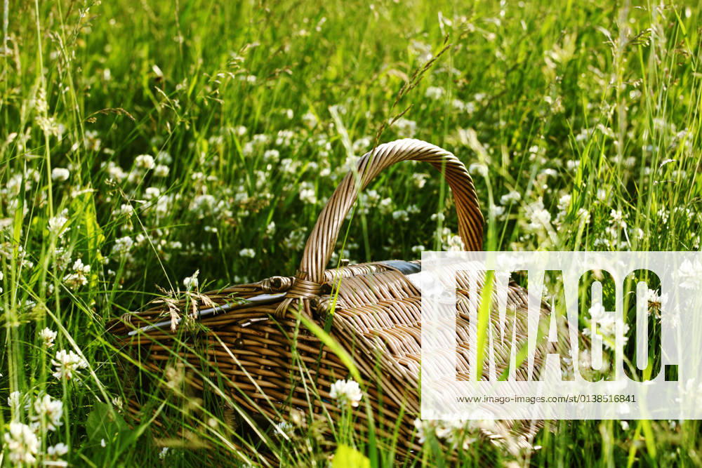 IMAGO Creative: Jahreszeit Frühling, Picknick picnic basket in green grass