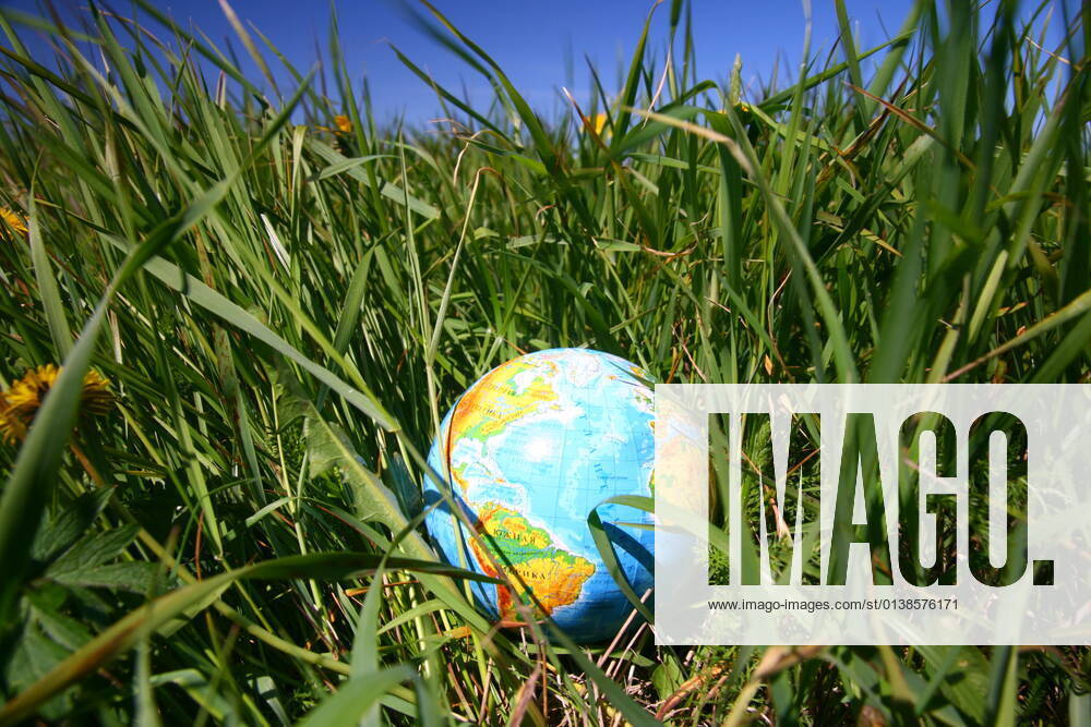 Globe of planet earth in green grass