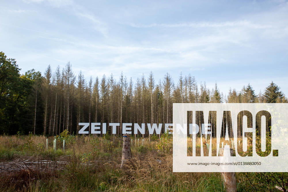 Bonn, Kunstprojekt wald.anders.denken im Kottenforst. 18.10.2021 Bonn, Kottenforst. Das Projekt wald.anders.denken soll den Besuchern neue Aspekte zum Wald, seiner nachhaltigen Bewirtschaftung und globalen Bedeutung für das Weltklima ermöglichen. Foto: Riesiger Schriftzug: Zeitenwende. In Hintergrund sind Tote Fichten zusehen. Bonn Bad Godesberg Nordrhein-Westfalen Deutschland