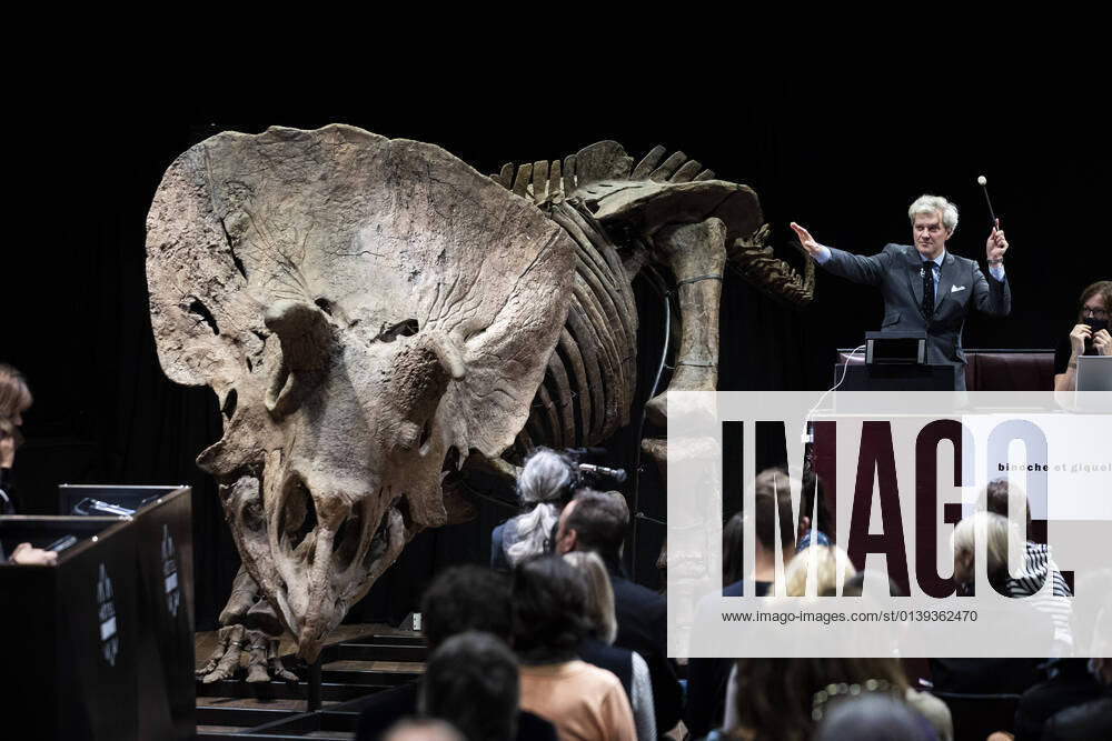 KW42 Paris, France, October 21, 2021 - The skeleton of a fossilized Triceratops nicknamed Big John, an over 66 million years old dinosaur, estimated to fetch a total of 1.5 million euros, was finally sold at auction for 5.5 million euros at the Drouot auction house by Maitre Giquello.