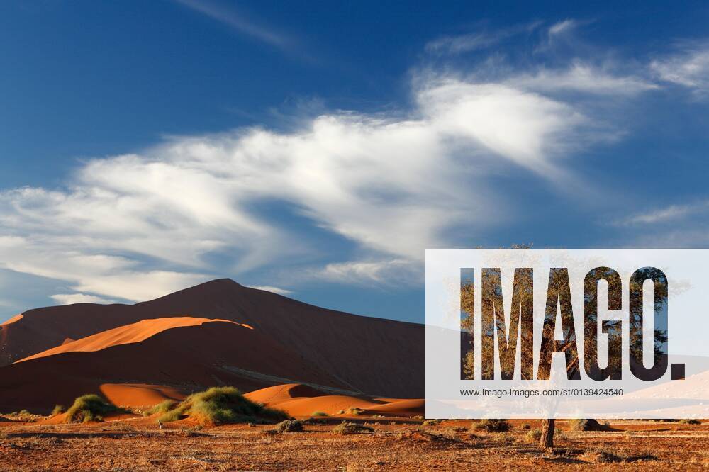 Sanddüne, Sossusvlei, Namib Naukluft Park, Namibia, Afrika