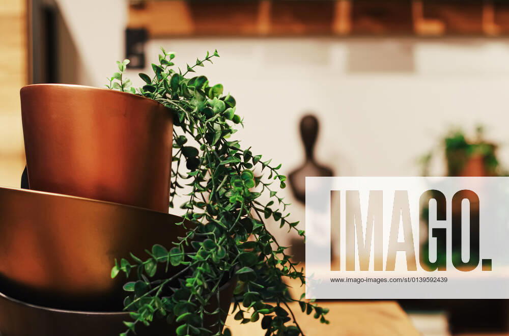 Home decor and interior design in modern house or apartment, luxury furniture and decoration details Home decor and interior design in modern house or apartment, luxury furniture and decoration details.