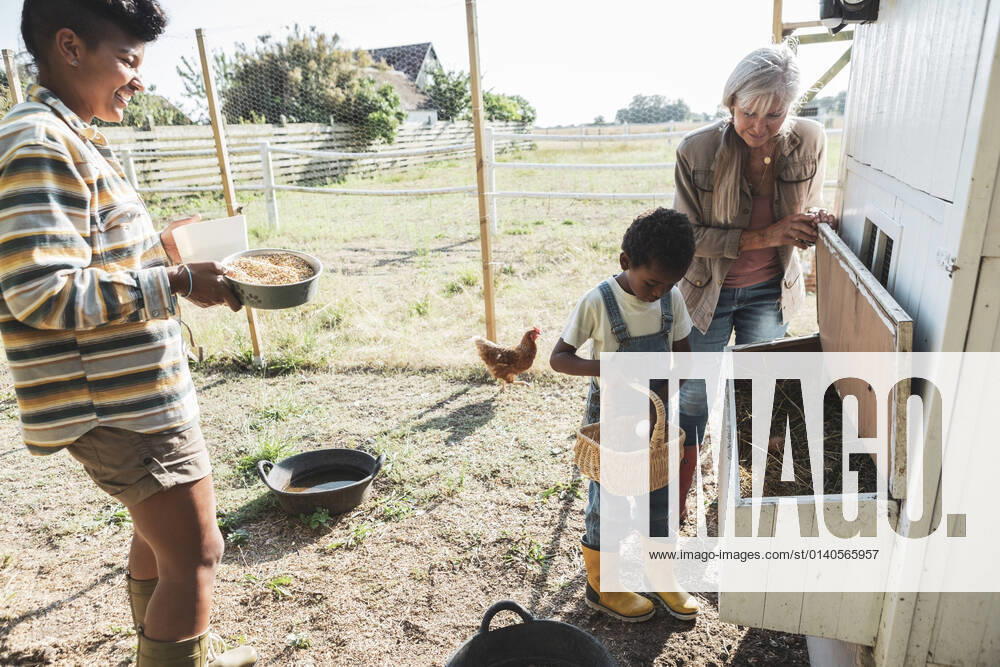IMAGO Creative: Landleben - Essen Boy keeping egg in basket from chicken coop by grandmother and mother Sweden, Skane, model released, property released