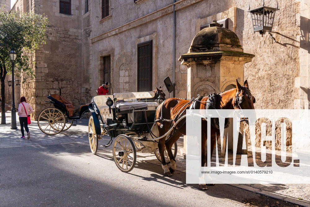 Europa, Spanien, Insel, Mallorca, Pferdekutsche in Palma de Mallorca McPBOY
