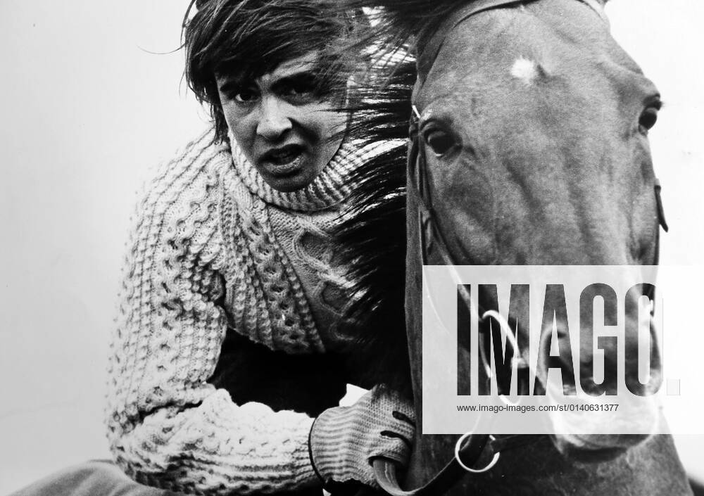 Davy Jones, member of The Monkees, was once an apprentice jockey. , Davy Jones Unknown, Unknown, UK, Ref:VM SHO Davy Jones.jpg, Davy Jones, The Monkees, horse riding, pop star, actor