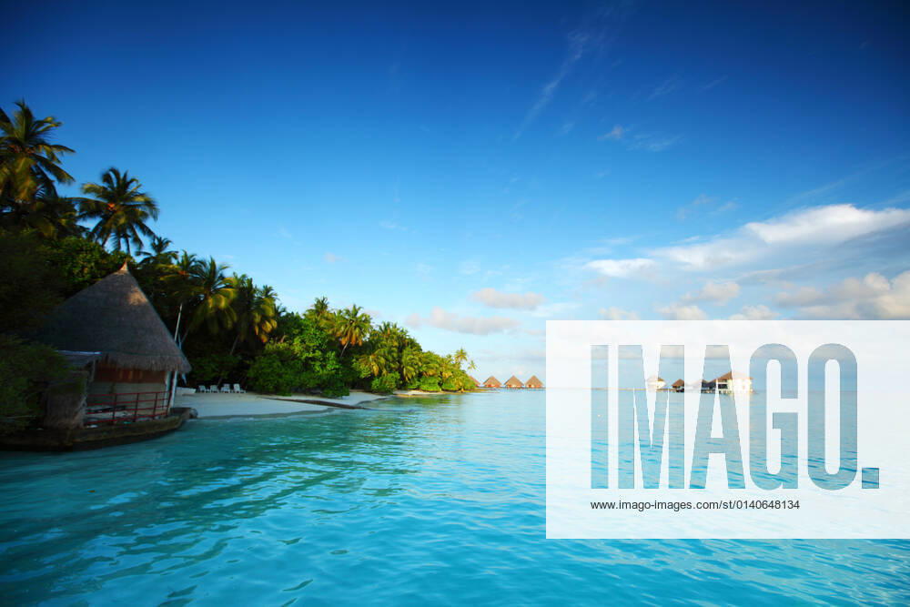 Maldives landscape ocean palm sky