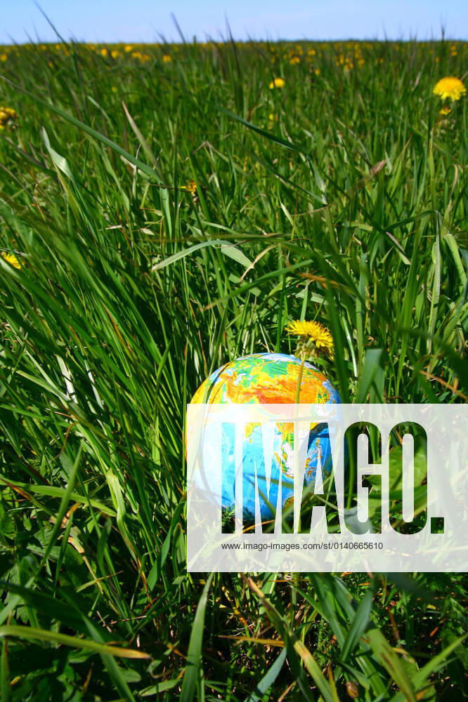 Globe of planet earth in green grass