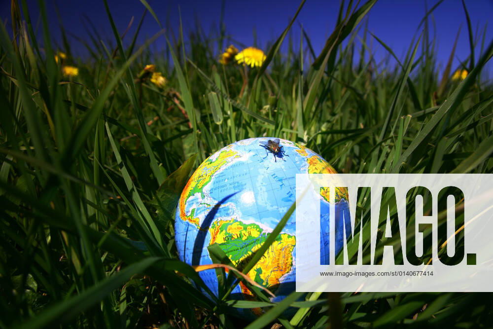 Globe of planet earth in green grass