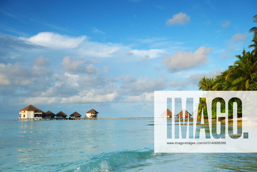 Maldives landscape ocean palm sky
