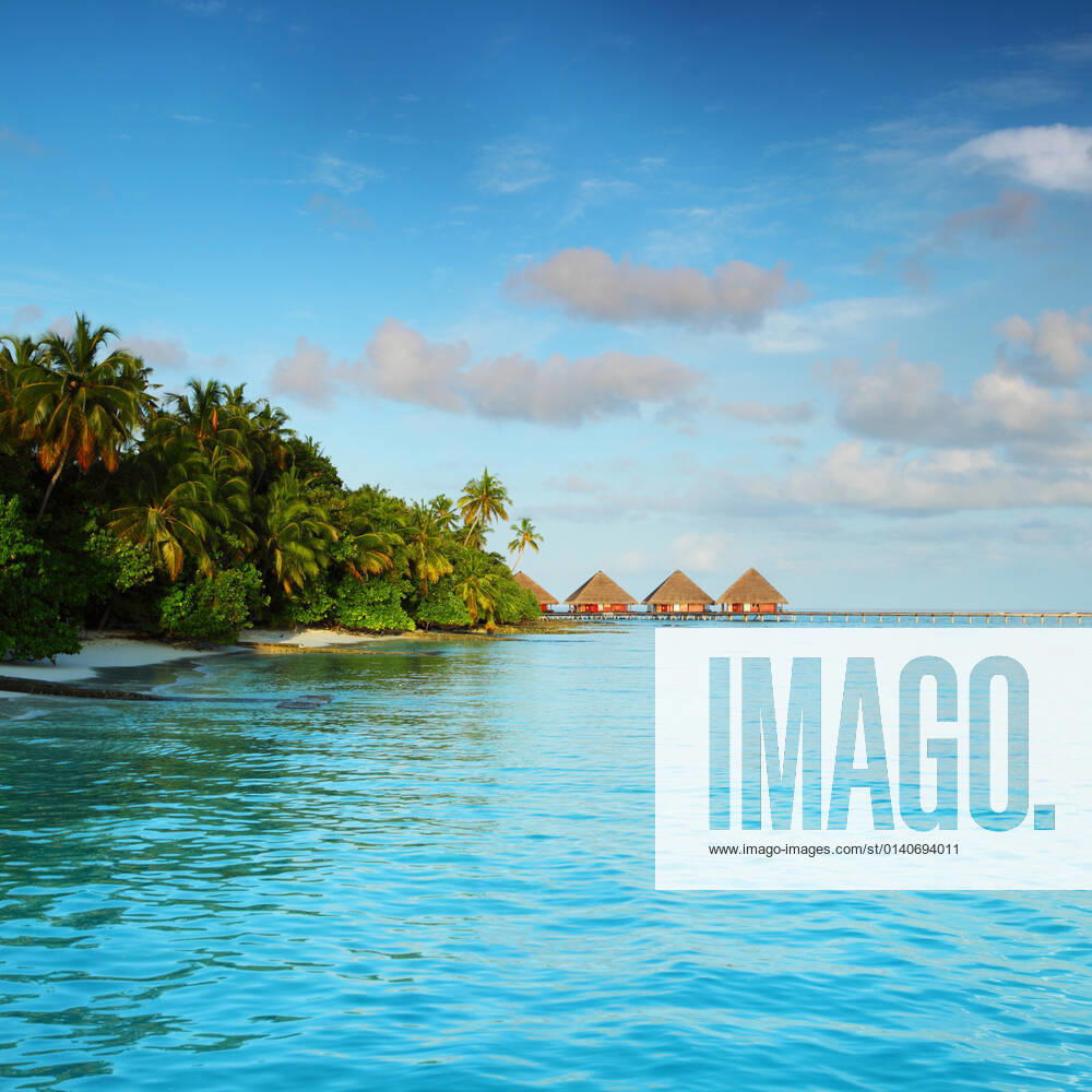 Maldives landscape ocean palm sky