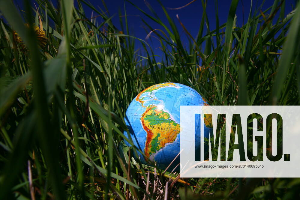 Globe of planet earth in green grass