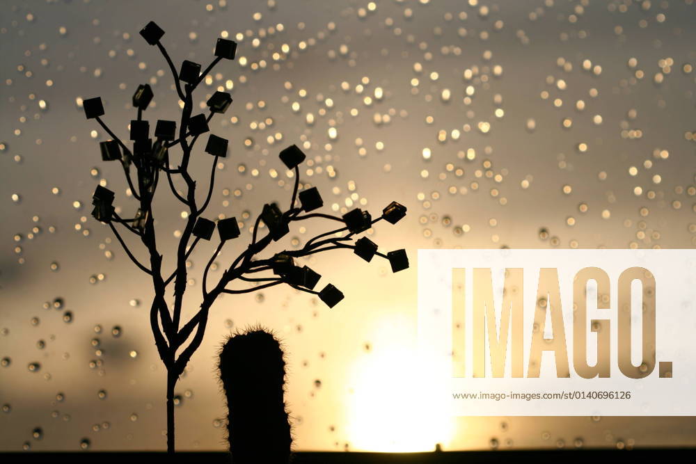 IMAGO Creative: Ende des Sommers sunset on a raindrops window nature background