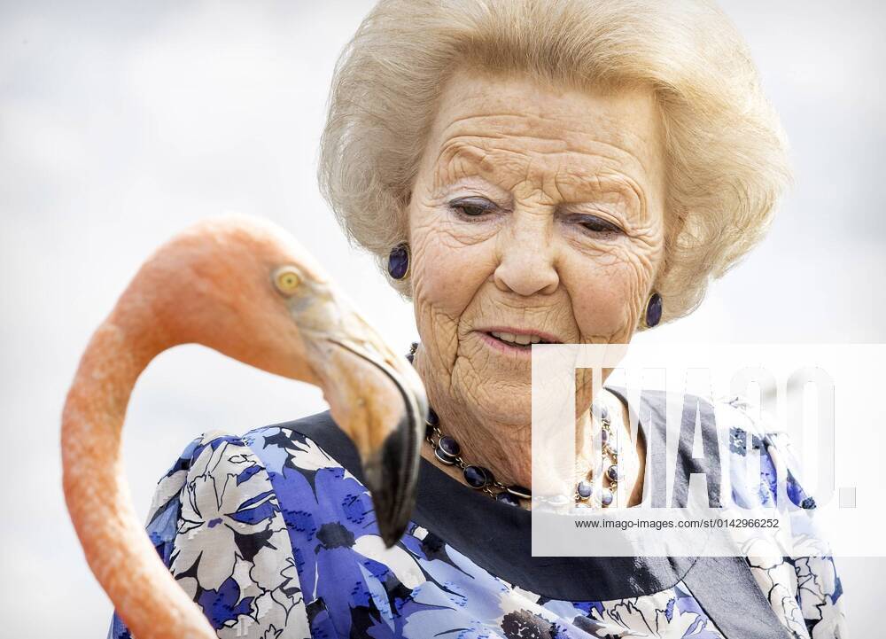 SINT MICHIEL - On the second day of a three-day working visit to Curacao, Princess Beatrix, together with students from the St. Margaretha school, visits the salt pans, where a flamingo (Oscar) is being worked out. The working visit was mainly devoted to nature conservation and the effects of the corona pandemic. ANP ROYAL IMAGES KOEN VAN WEEL