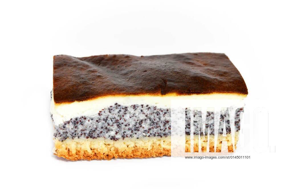IMAGO Creative: Food, Mohn freshly baked poppy seed cake, 26.10.2021,