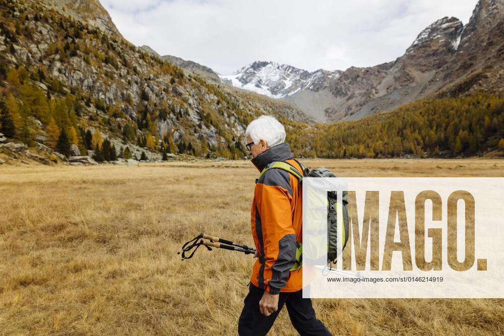 IMAGO Creative: Ende des Sommers Senior backpacker with poles hiking on grass model released, MRAF00770