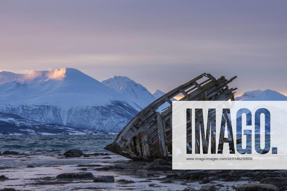 Shipwreck lying on shore of secluded Fjord at winter dawn, RUEF03452