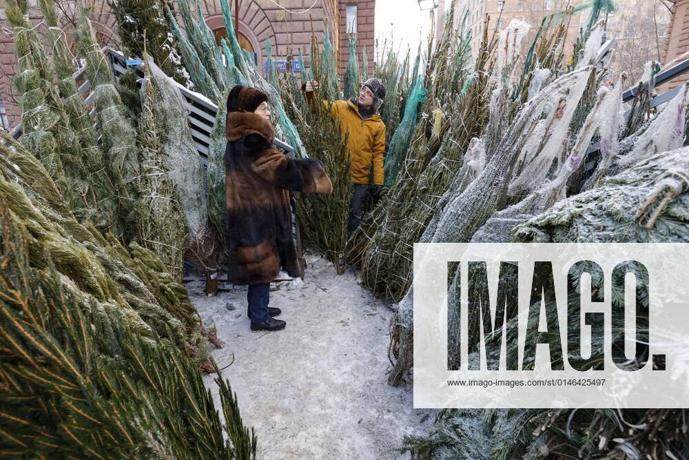 (211229) -- MOSCOW, Dec. 29, 2021 -- People select packed trees for the New Year celebration at a bazaar in Moscow, Russia, Dec. 29, 2021. (Photo by Xinhua) RUSSIA-MOSCOW-NEW YEAR-TREE-BAZAAR AlexanderxZemlianichenkoxJr