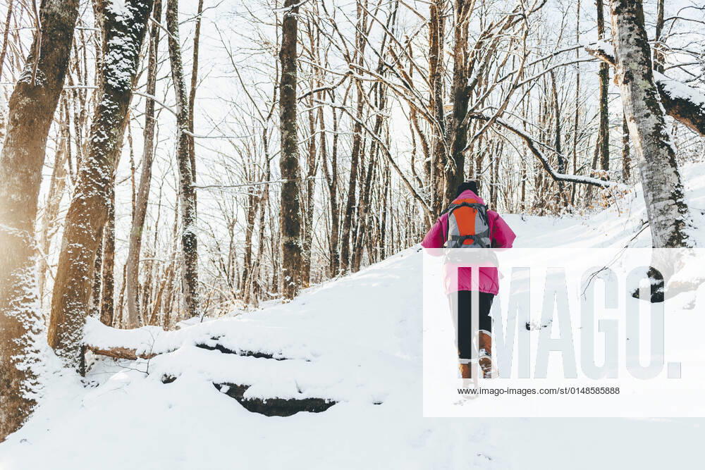 IMAGO Creative: 2022 Sport Favoriten IMAGO Creative: Alternativer Wintersport Man walking on snow covered land in forest model released, OMIF00362