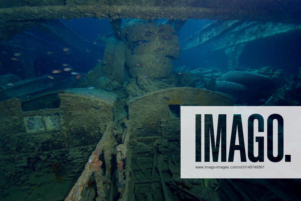 Old damaged sunken ship and on sandy bottom of blue Red Sea with reef fish ArturoVigil_RedSea_73.jpg