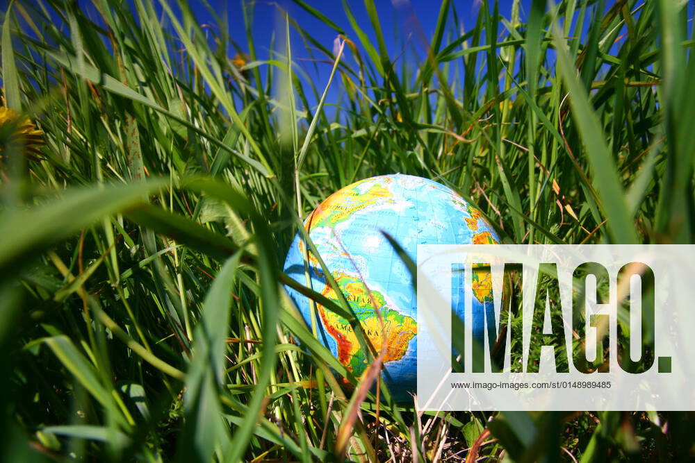 Globe of planet earth in green grass