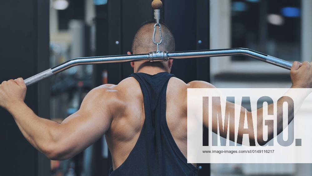 Back Workout Athlete muscular fitness male strong athletic man pumping up muscles workout bodybuilding muscular bodybuilder handsome men doing exercises. Back Workout Athlete muscular fitness male strong athletic man pumping up muscles workout bodybuilding muscular bodybuilder handsome men doing exercises in gym naked torso