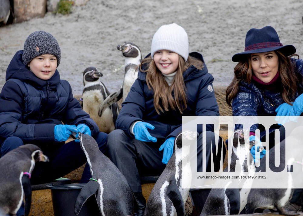 Zoo Princess Mary and Prince Vincent and Princess Josephine visited the Copenhagen Zoo and the Mary s Australian Garden in Stockholm. Â