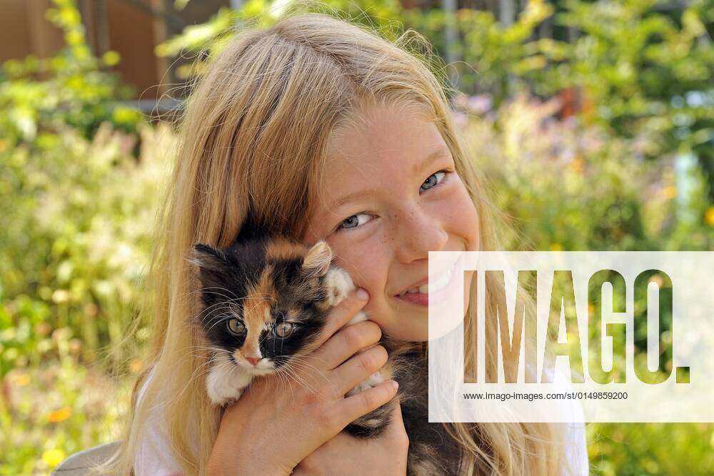 Hauskatze, Haus-Katze (Felis silvestris f. catus), kleines blondes Maedchen haelt gluecklich ein Kaetzchen in den Haenden, Portraet domestic cat, house cat (Felis silvestris f. catus), little blonde girl happily holding a kitten in her hands, portrait BLWS661197
