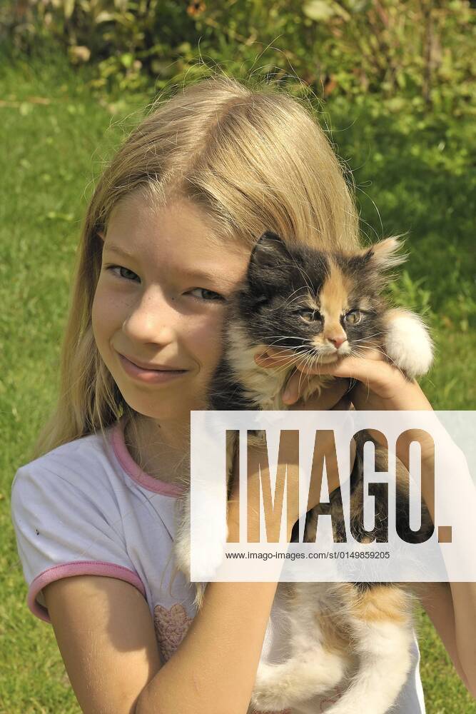 Hauskatze, Haus-Katze (Felis silvestris f. catus), kleines blondes Maedchen haelt gluecklich ein Kaetzchen in den Haenden, Portraet domestic cat, house cat (Felis silvestris f. catus), little blonde girl happily holding a kitten in her hands, portrait BLWS661206