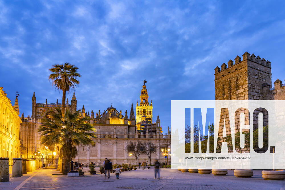 Kathedrale Sevilla Kathedrale Santa María de la Sede in der Abenddämmerung, Sevilla, Andalusien, Spanien Seville Cathedral Saint Mary of the See at dusk, Seville, Andalusia, Spain,