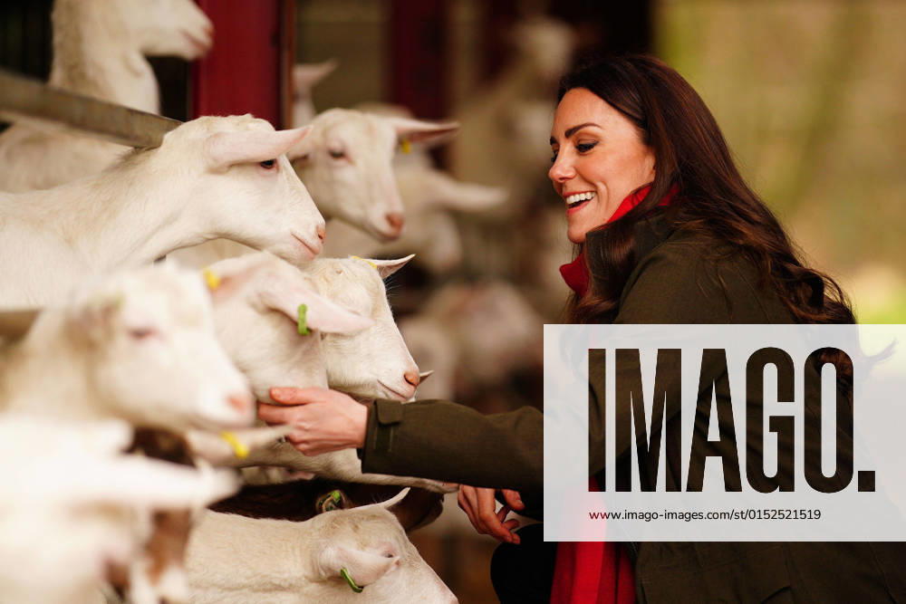 . 01 03 2022. Abergavenny, United Kingdom. Prince William and Kate Middleton, the Duke and Duchess of Cambridge ,during a visit to a goat farm near Abergavenny in Wales, United Kingdom. xi-Imagesx IIM-23140-0074