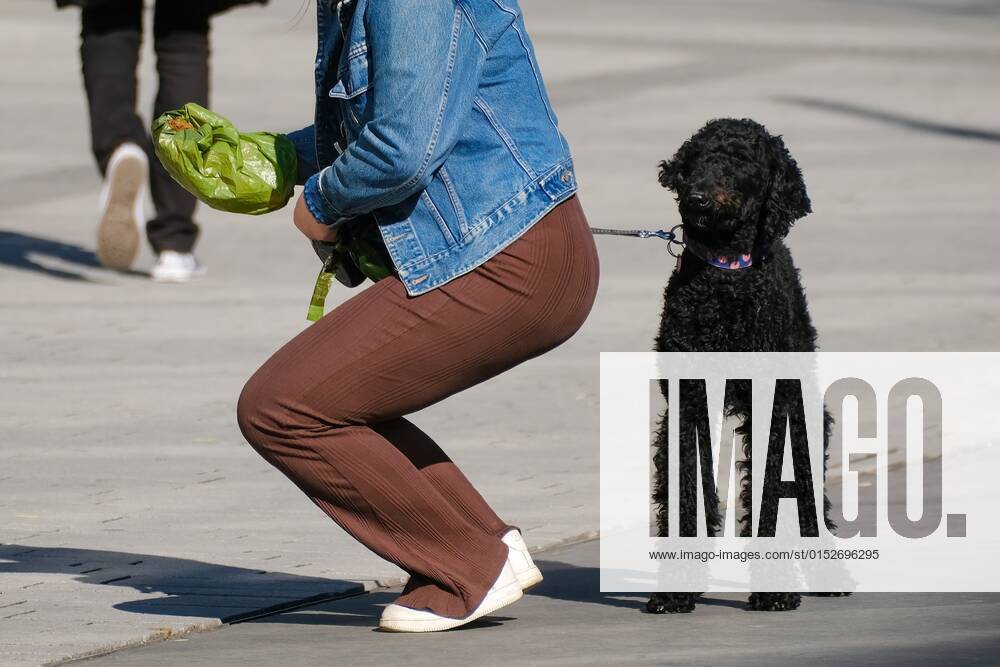 Düsseldorf 11.03.2022 Hund Hunde Gassi gehen gassigehen Spaziergänger spazieren Spaziergang Hundekot Hundekotbeutel Kotbeutel Pudel Düsseldorf Nordrhein-Westfalen Deutschland