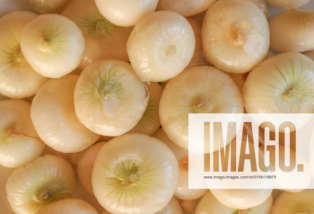 Onion (Allium cepa) also known as garden or bulb onion, model released, , property released, , 10453582.jpg, onions, onion, allium, cepa, also, known, garden, bulb, cuisine, nutrition, red, white,