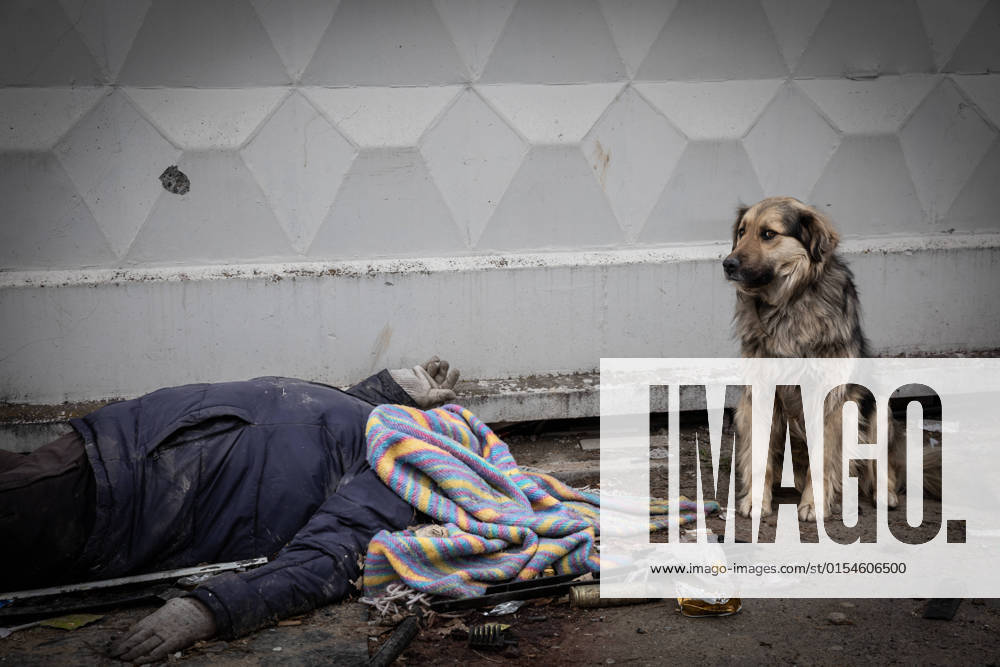 Ukraine-Krieg, Jahrestag der Invasion, Chronologie der Ereignisse, Archivbilder Ukraine-Konflikt, Eindrücke aus Butscha The dead body of a killed civilian, next to which his dog is still waiting, the town of Bucha, 4.4.2022 (CTKxPhoto VojtechxDarvikxMaca) CTKPhotoF202204050075501