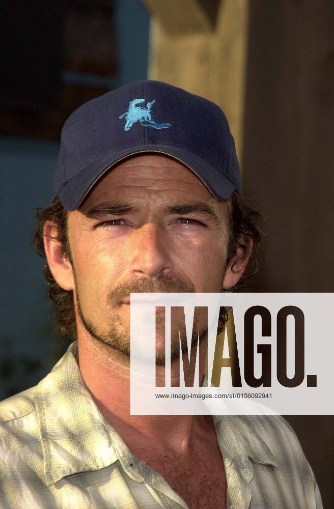 Luke Perry at the premiere of Open Range at the Cinerama Dome, Hollywood, CA 08-11-03 , 10666478.jpg, fame, famous, popular, star, event, person, celebrity, talent, people, entertainment,