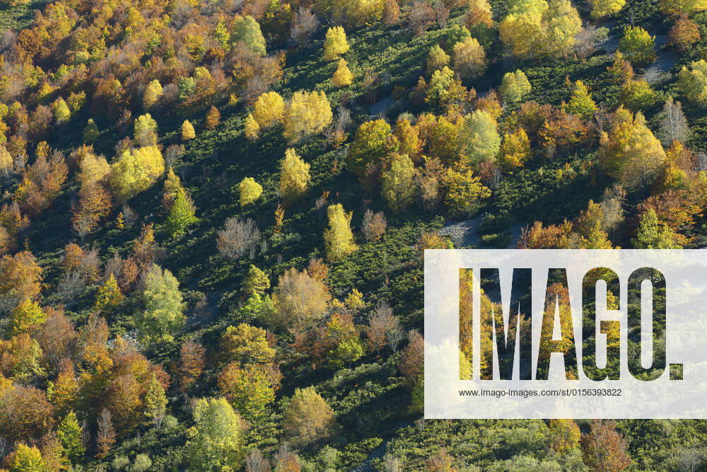 IMAGO Creative: Ende des Sommers Herbststimmung im Picos de Europa Nationalpark, Spanien, Kantabrien, Picos de Europa Nationalpark Autumn in Picos de Europa national park, Spain, Cantabria, Picos De Europa National Park BLWS665875