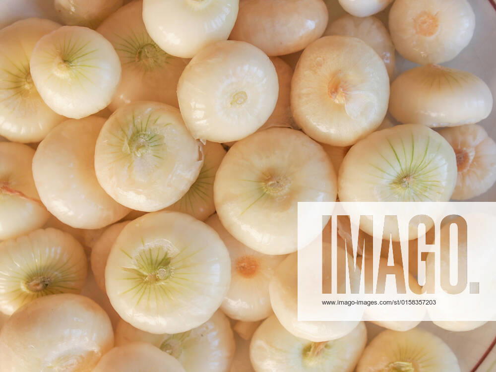 Onion (Allium cepa) also known as garden or bulb onion , 10499880.jpg, onions, onion, allium, cepa, also, known, garden, bulb, cuisine, nutrition, red, white,