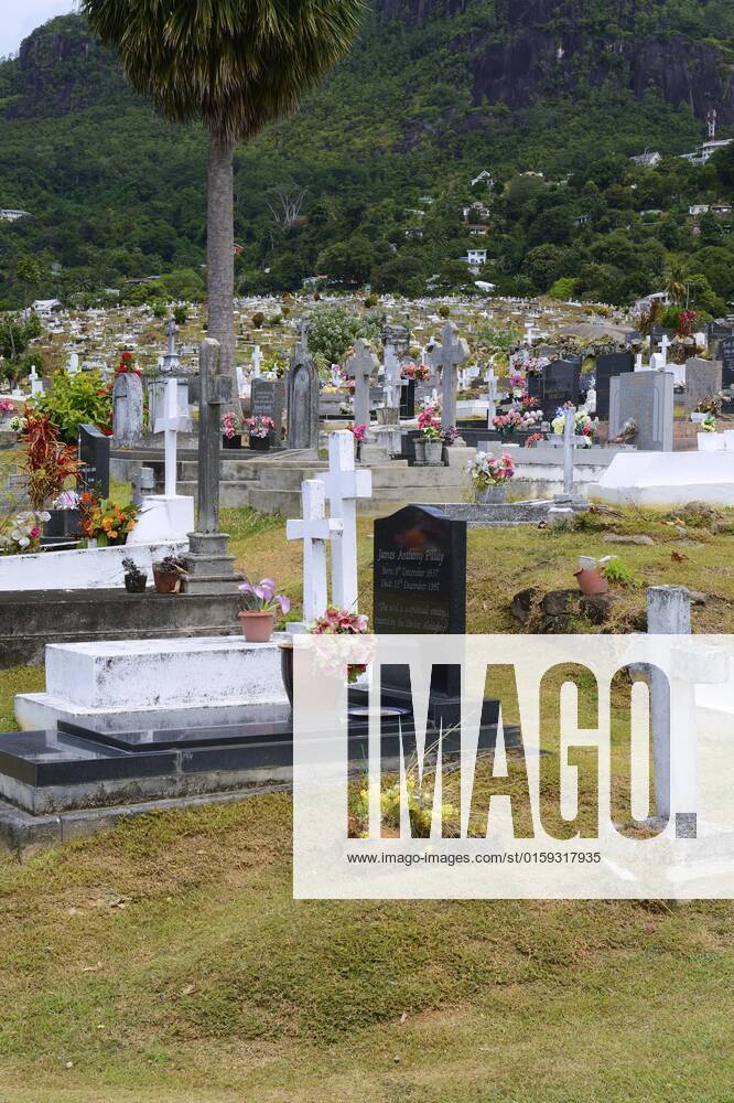 Landestypische Graeber auf dem Friedhof der Hauptstadt Victoria, Seychellen, Mahe typical graveyard of the capital town victoria, Seychelles, Mahe BLWS667088