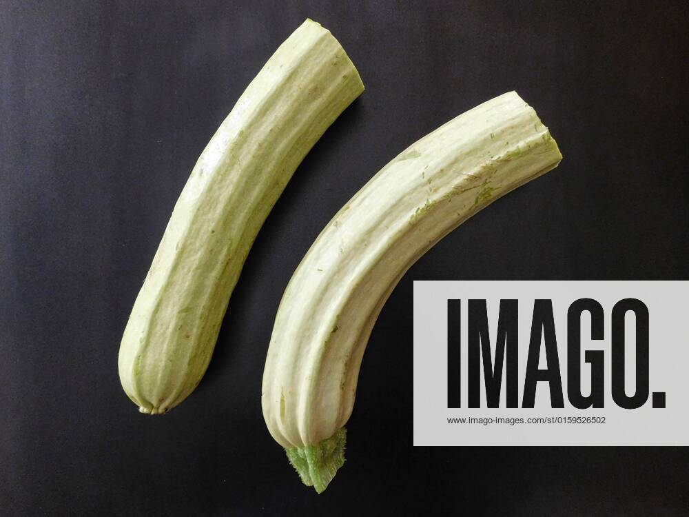 Zucchini , 26230122.jpg, italian, vegan, eating, produce, raw, courgette, ingredient, top view, overhead, food, market, autumn, fresh, veggies, pumpkin, garden, farmer, background, healthy, wooden, green, harvest, summer, agriculture, eco, supermarket, local, vegetables, seasonal, bio, zucchini, rustic, squash, wood, diet, organic, table, farm, vegetarian, fall, farming, above, basket,