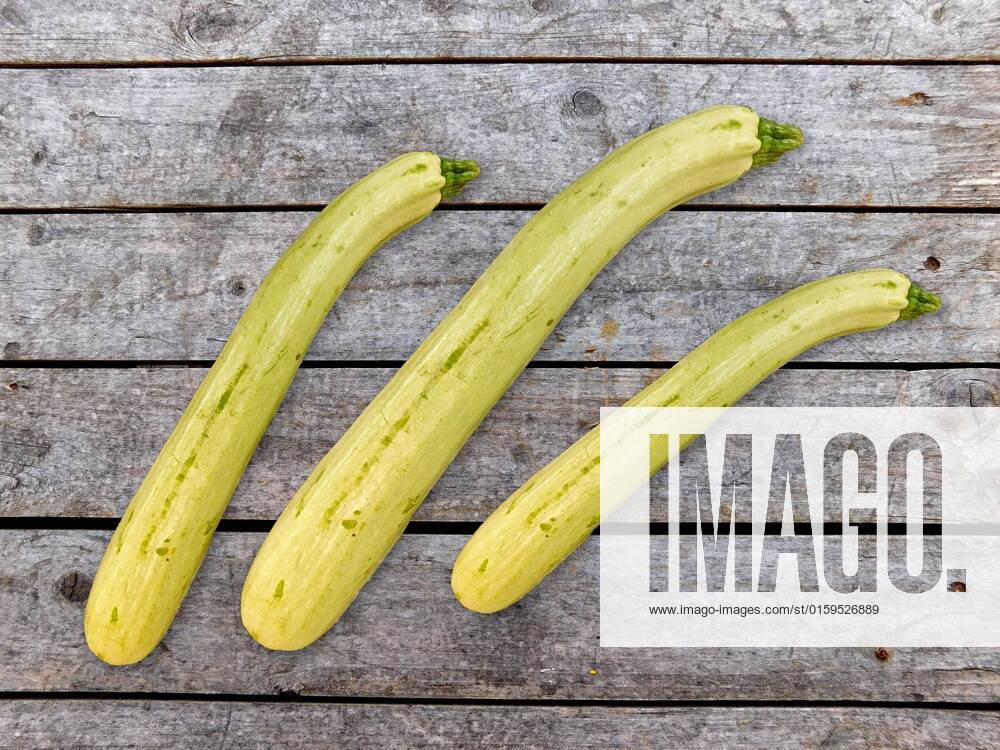 Zucchini , 26231108.jpg, italian, vegan, eating, produce, raw, courgette, ingredient, top view, overhead, food, market, autumn, fresh, veggies, pumpkin, garden, farmer, background, healthy, wooden, green, harvest, summer, agriculture, eco, supermarket, local, vegetables, seasonal, bio, zucchini, rustic, squash, wood, diet, organic, table, farm, vegetarian, fall, farming, above, basket,