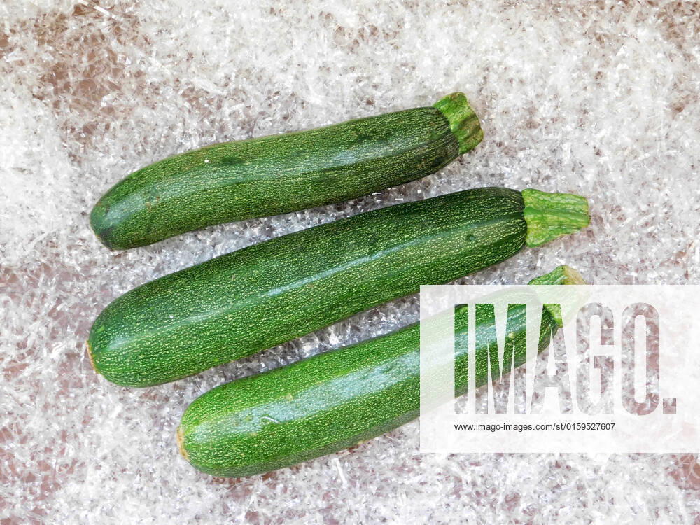 Zucchini , 26232608.jpg, italian, vegan, eating, produce, raw, courgette, ingredient, top view, overhead, food, market, autumn, fresh, veggies, pumpkin, garden, farmer, background, healthy, wooden, green, harvest, summer, agriculture, eco, supermarket, local, vegetables, seasonal, bio, zucchini, rustic, squash, wood, diet, organic, table, farm, vegetarian, fall, farming, above, basket,