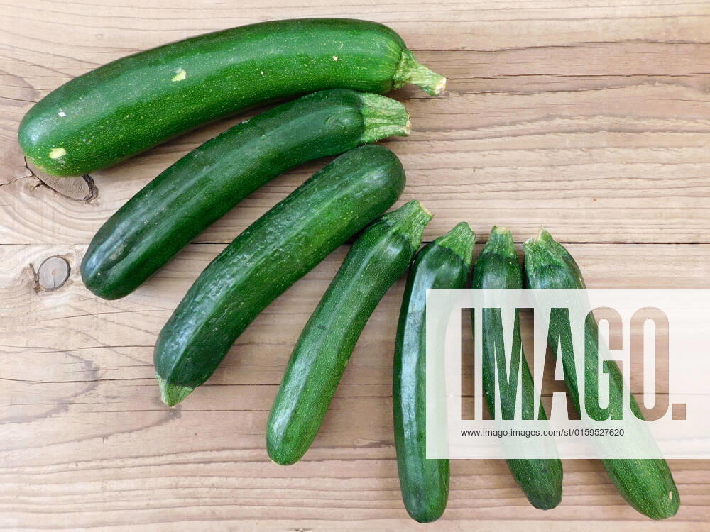 Zucchini , 26232640.jpg, italian, vegan, eating, produce, raw, courgette, ingredient, top view, overhead, food, market, autumn, fresh, veggies, pumpkin, garden, farmer, background, healthy, wooden, green, harvest, summer, agriculture, eco, supermarket, local, vegetables, seasonal, bio, zucchini, rustic, squash, wood, diet, organic, table, farm, vegetarian, fall, farming, above, basket,