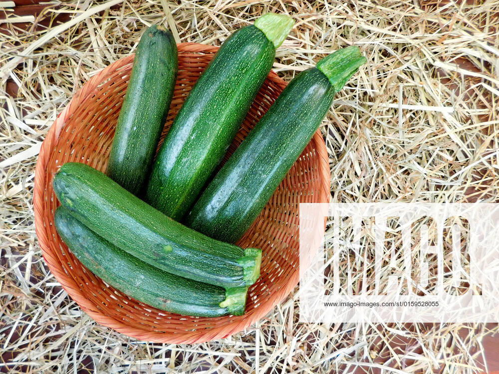 Zucchini , 26233648.jpg, italian, vegan, eating, produce, raw, courgette, ingredient, top view, overhead, food, market, autumn, fresh, veggies, pumpkin, garden, farmer, background, healthy, wooden, green, harvest, summer, agriculture, eco, supermarket, local, vegetables, seasonal, bio, zucchini, rustic, squash, wood, diet, organic, table, farm, vegetarian, fall, farming, above, basket,