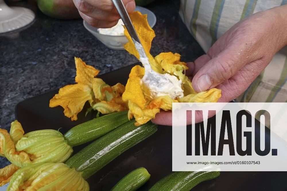 IMAGO Creative, Food, Zucchiniblüten Süddeutsche Küche, Zubereitung gefüllte Zucchiniblüten, Zucchiniblüten mit Frischkäse befüllen, Teelöffel, vegetarisch, gesunde Küche, kochen, Gemüse, Männerhände, Deutschland, Europa