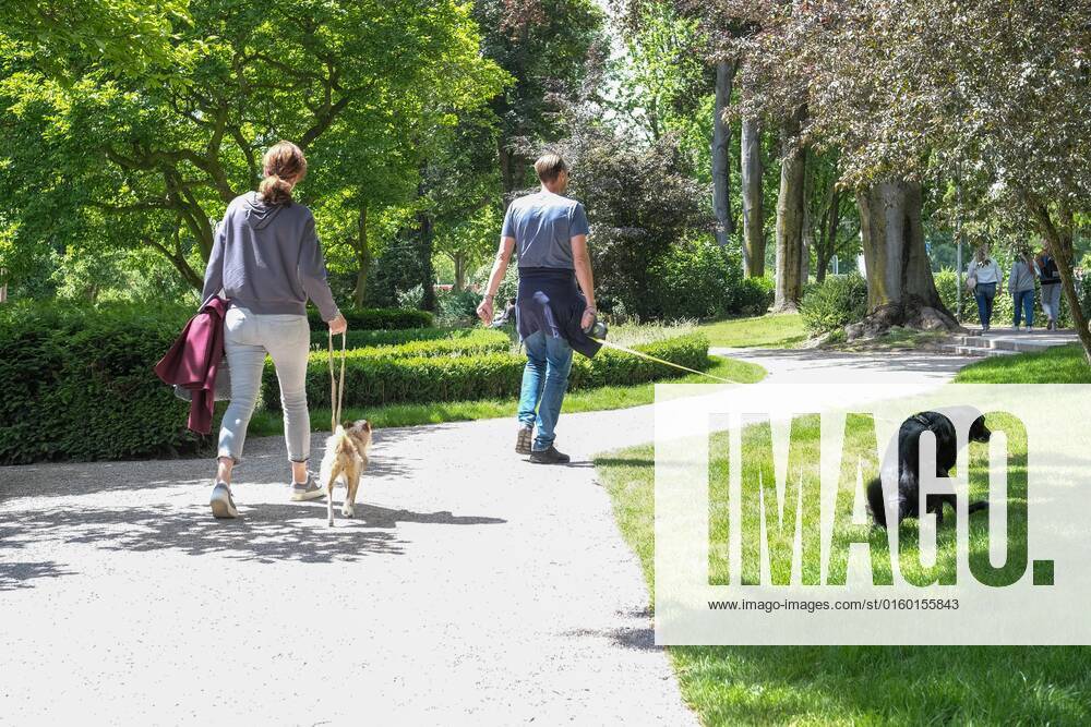Düsseldorf 28.05.2022 Hund Hunde Gassi gehen gassigehen Spaziergänger spazieren Spaziergang Hundekot Hundekotbeutel Kotbeutel Düsseldorf Nordrhein-Westfalen Deutschland