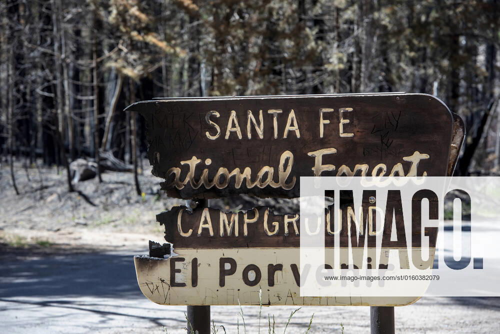 The El Porvenir Campground in the Santa Fe National Forest is burned by the Calf Canyon Hermits Peak Fire. The campground is in Gallinas Cayon. Crews have gained 50% containment on the Hermits Peak Fire. Photo shot Tuesday May 29, 2022. San Miguel County USA - ZUMAab1_ 20220531_zaf_ab1_005