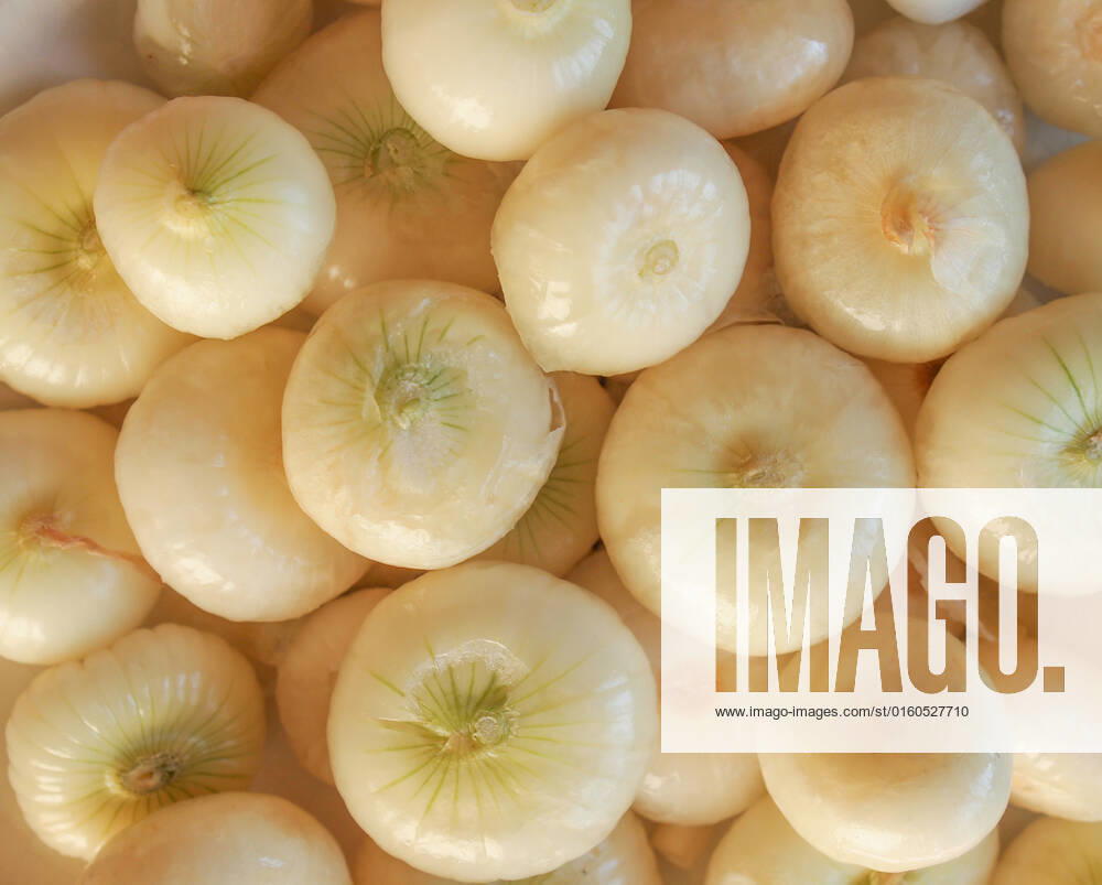 Onion (Allium cepa) also known as garden or bulb onion , 10466274.jpg, onions, onion, allium, cepa, also, known, garden, bulb, cuisine, nutrition, red, white,