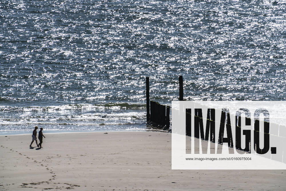 Spaziergänger am Strand bei Zoutelande, Wellenbrecher, Provinz Zeeland, Halbinsel Walcheren, Niederlande, Strand Zeeland