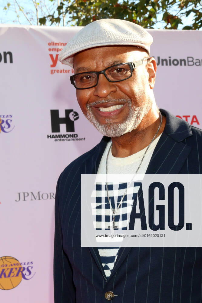 LOS ANGELES - JUN 14: James Pickens Jr at the 2022 YWCA Greater Los Angeles Phenomenal Woman Awards at the You Tube Theater on June 14, 2022 in Los Angeles, CA