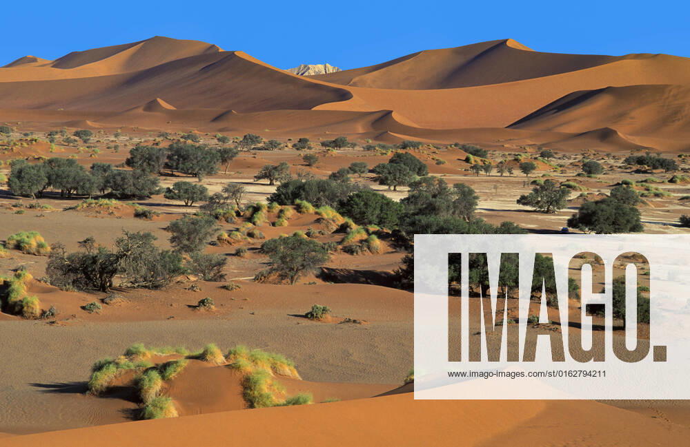 Sandduenes, Sossuvlei Namib Naukluft Park, Namibia, Africa