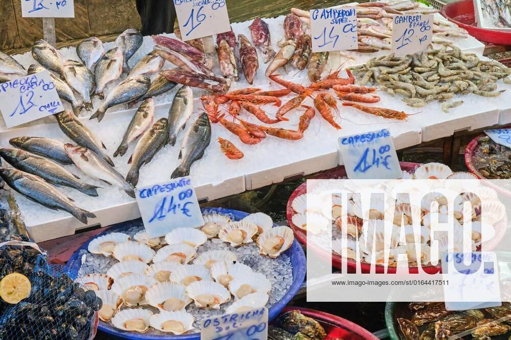 Fish, seafood and bivalves for sale at a market in Naples, , 28.03.2020 11:52:39,